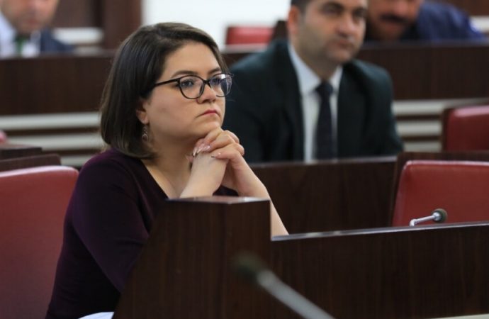 شادی نەوزاد: هیـــچ کەس لە هەولێر نەچۆتە زیندان لەبەر ئەوەی کۆمێنتێکی نوسیوە